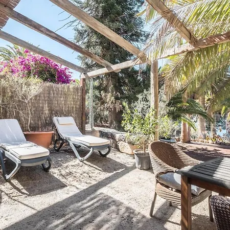 Flamboyan * Costa Adeje (Tenerife)