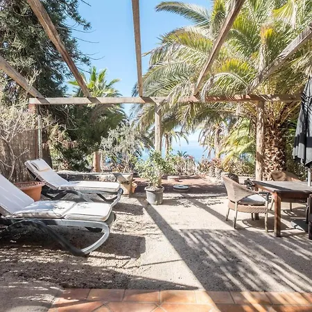 Flamboyan * Адехе